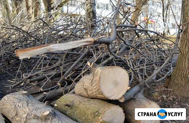 Спил деревьев Новочеркасск - изображение 1