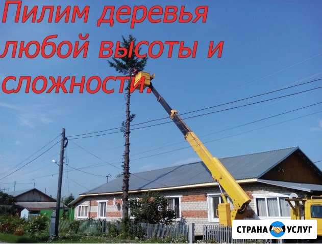 Спил деревьев в Тюмени Тюмень - изображение 1