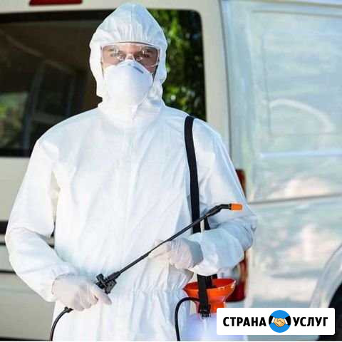 Дезинсекция.Уничтожение тараканов,клещей,клопов Иваново - изображение 1