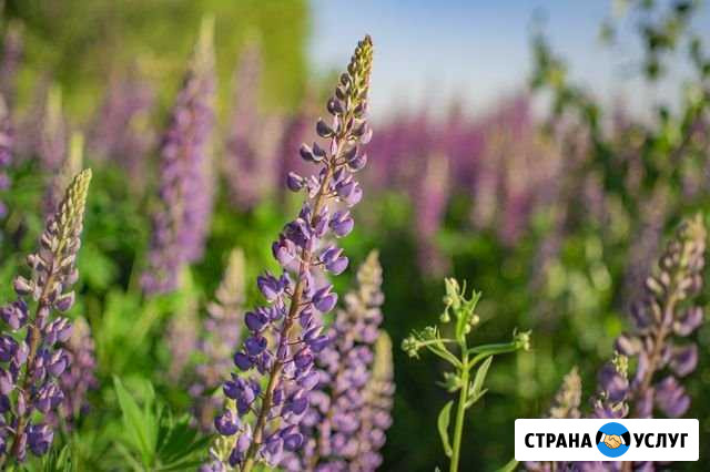 Фотограф Зеленодольск - изображение 1