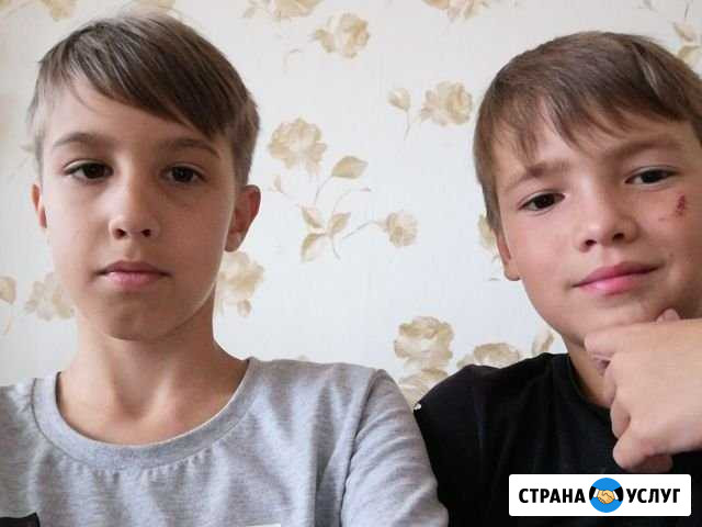 Помощь по дому или выгуливание животных (2 ребенка Мензелинск - изображение 1