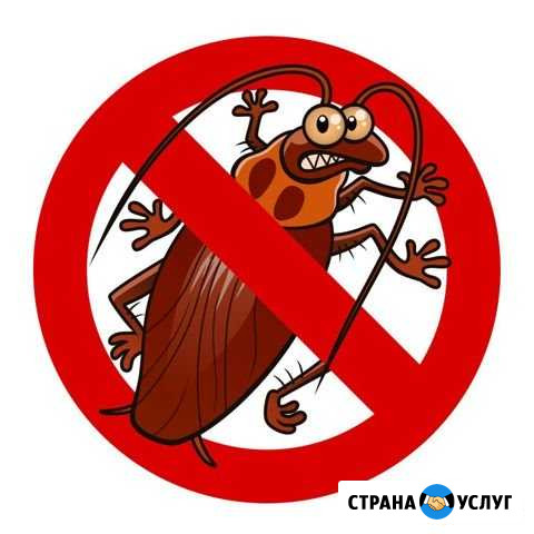 Потравить тараканов, клопов с гарантией результата Самара - изображение 1
