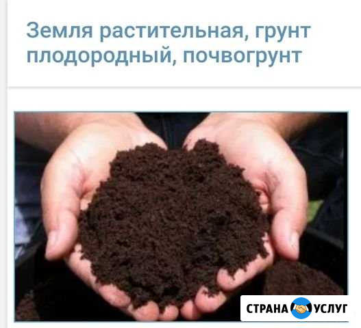 Приму почвогрунт Голицыно - изображение 1