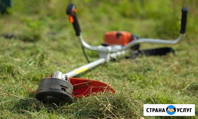 Скос травы триммером Юрьев-Польский - изображение 1