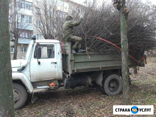 Вывоз мусора Кохма - изображение 1