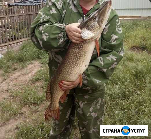 Отдых, рыбалка Икряное - изображение 1