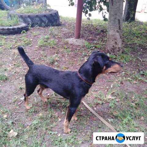 Вязка Рыбное - изображение 1