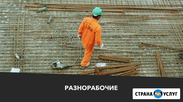 Разнорабочие Павловск - изображение 1