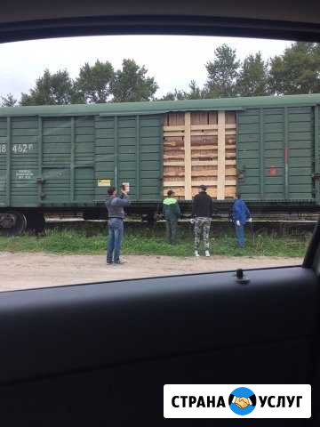 Грузчики, Разнорабочие, Подсобные рабочие Солнечногорск - изображение 1