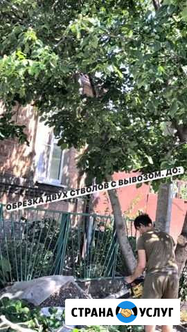 Слом домов. Спил деревьев. Уборка участков Ростов-на-Дону - изображение 1