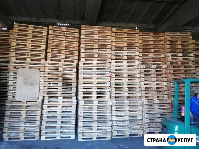 Европоддон, приём, продажа Кокошкино - изображение 1
