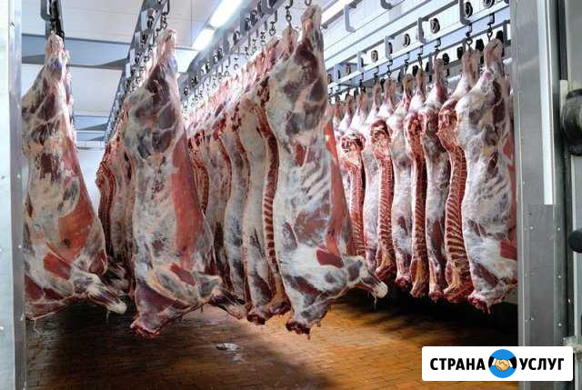 Убой-Забой скота Павлово - изображение 1