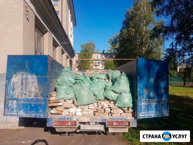 Вывоз мусора Сестрорецк - изображение 1