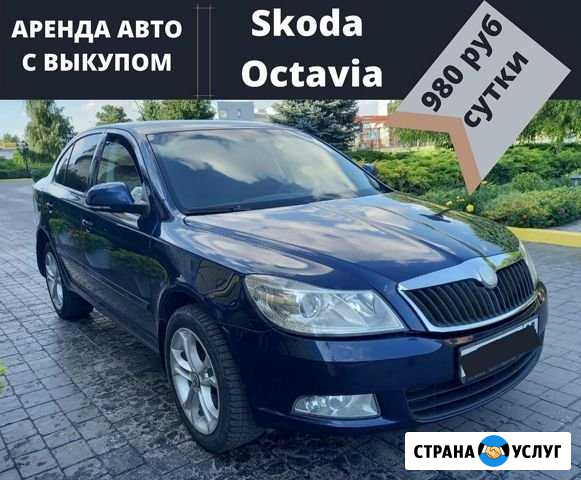 Октавия в аренду с правом выкупа Симферополь - изображение 1