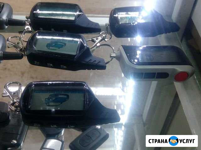 Ремонт, замена сигнализации на авто Лиски - изображение 1