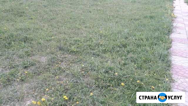 Покос травы, копка траншей Можайск - изображение 1
