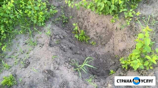 Земельные работы Старый Оскол - изображение 1