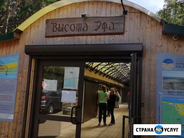 Экскурсии на Куршскую Косу Зеленоградск - изображение 1