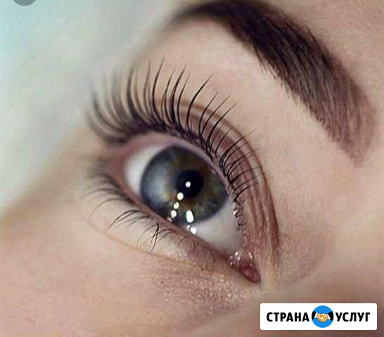 Ламинирование Окрашивание ресниц бровей Братск - изображение 1