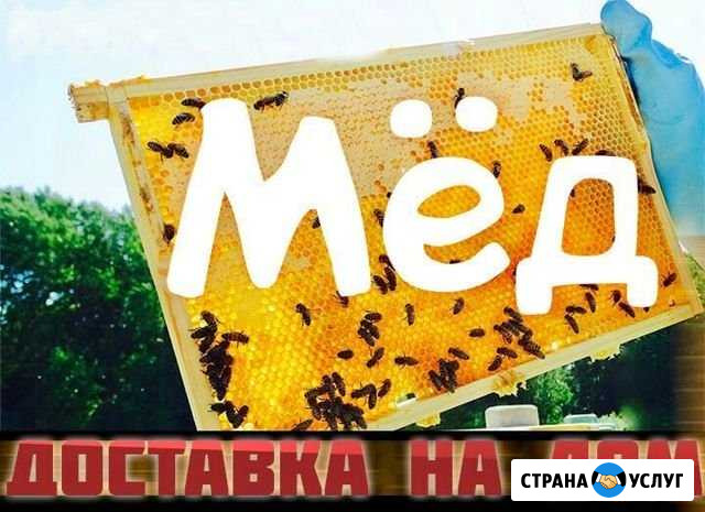 Мёд Орёл - изображение 1