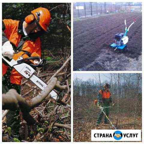 Покос (скос) травы.Спил, снос, обрезка деревьев Челябинск