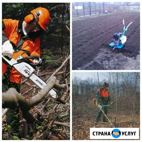 Покос (скос) травы.Спил, снос, обрезка деревьев Челябинск - изображение 1