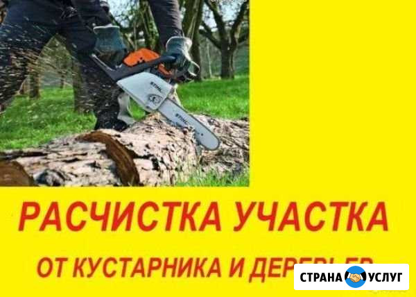 Спил деревьев.Чистка,уборка участков Вольск - изображение 1