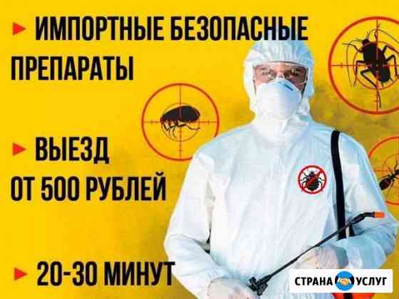 Уничтожение тараканов, клопов, клещей Иркутск