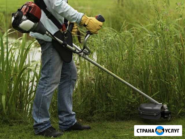 Покос травы Курск - изображение 1