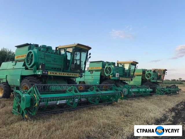 Уборка урожая Изобильный - изображение 1
