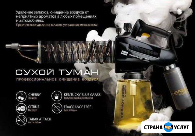 Дезинфекция автомобиля и небольших помещений Мурманск - изображение 1