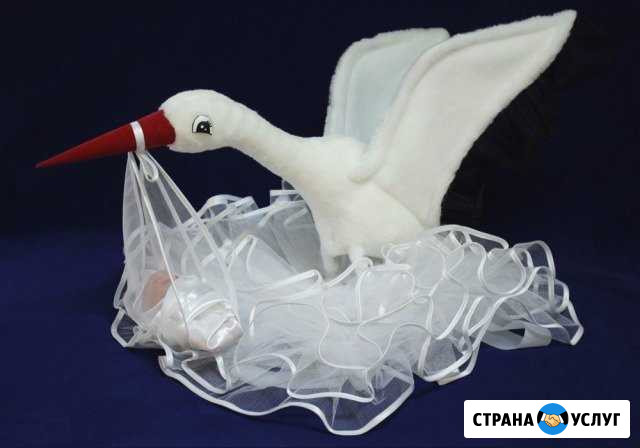Аист на прокат Тюмень - изображение 1