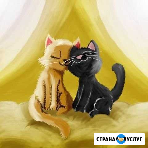 Передержка. Зоогостиница Петрозаводск - изображение 1