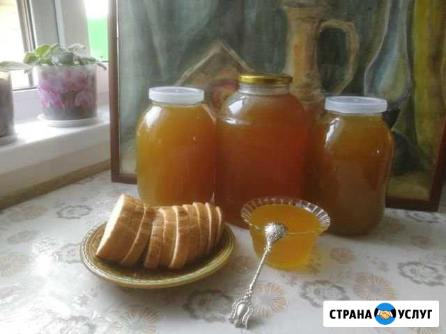 Мед Омск - изображение 1