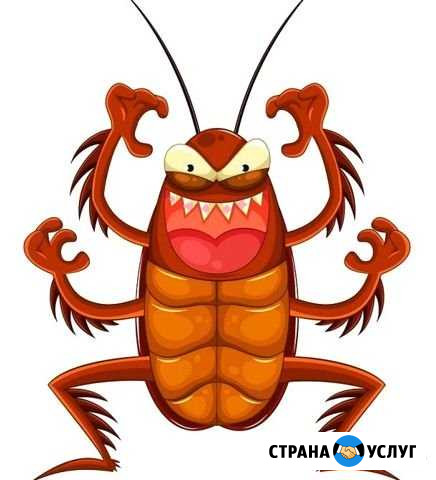Уничтожение клопов, тараканов, короедов, гарантия Екатеринбург - изображение 1