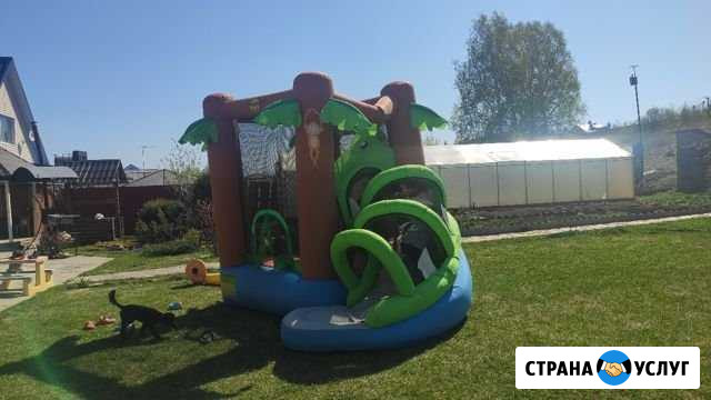 Аренда батута Тюмень - изображение 1