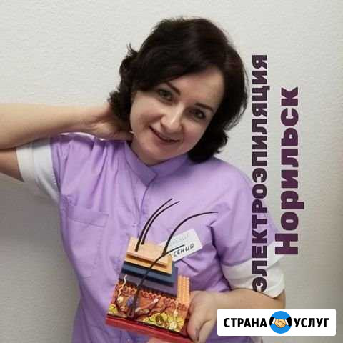 Электроэпиляция удаление волос навсегда Норильск - изображение 1