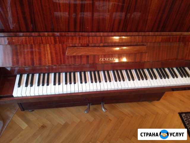 Настройка и ремонт пианино Ижевск - изображение 1