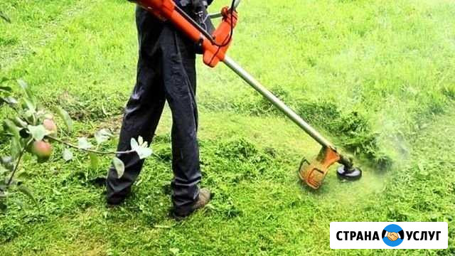 Косим, пилим, вывозим. Уборка территории Красная Поляна - изображение 1