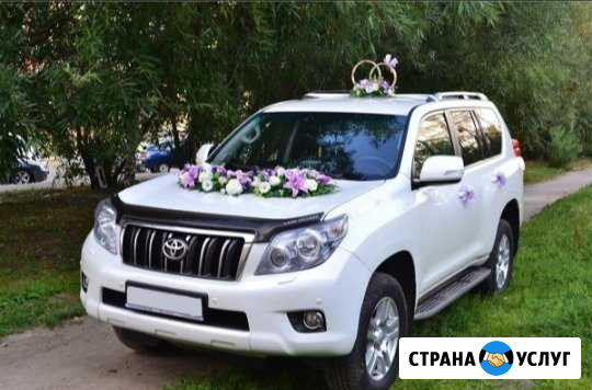 Аренда авто Ульяновск - изображение 1