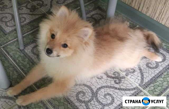 Вязка Воронеж - изображение 1