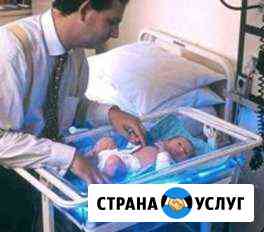Лампа от желтушки напрокат Истра