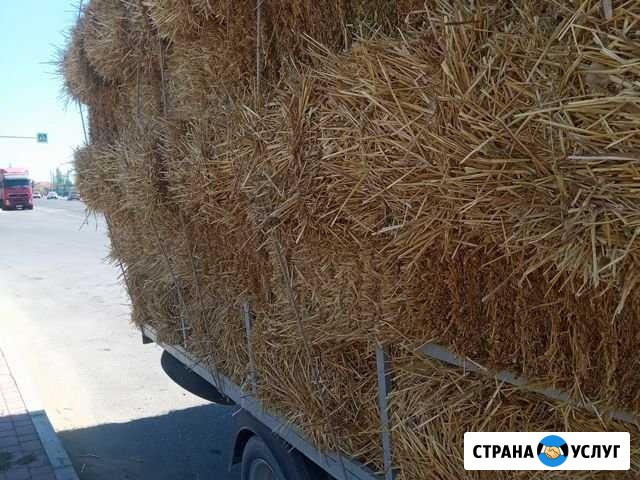 Салома с доставкой Бабаюрт - изображение 1