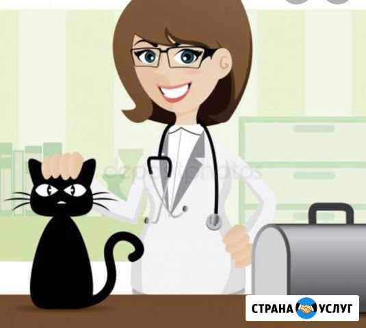 Ветеринарный врач на дом Дрезна - изображение 1
