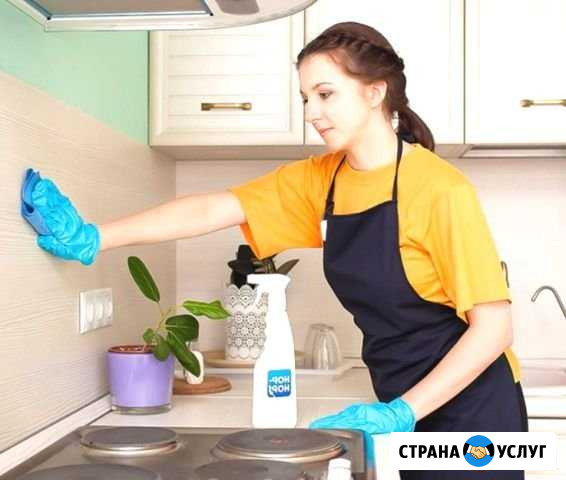 Уборка квартир. Мойка окон. Уборка антисептиками Москва - изображение 1