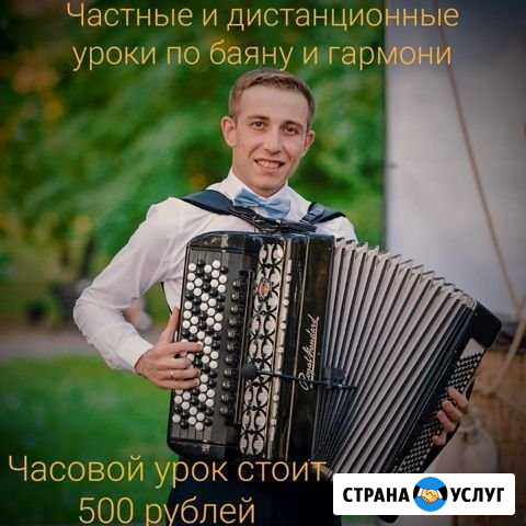 Частные и Дистанционные уроки на баяне, хромке и т Казань - изображение 1