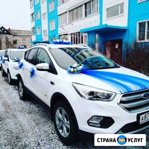 Свадебные автомобили, обслуживание свадеб, кортеж Кинешма - изображение 1