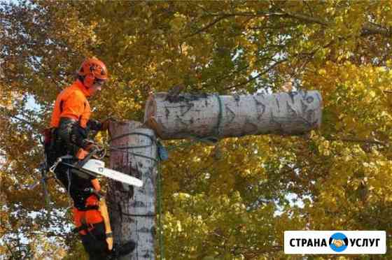 Спил деревьев Зеленодольск