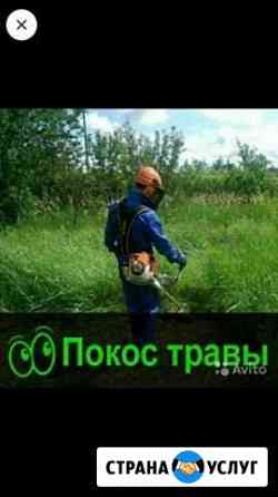 Покос травы Кузнецк