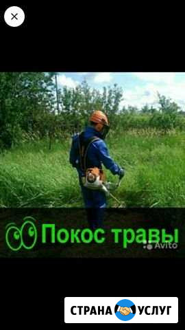 Покос травы Кузнецк - изображение 1